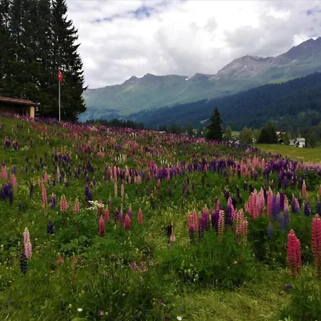 Maspoli Holidays * Lenzerheide